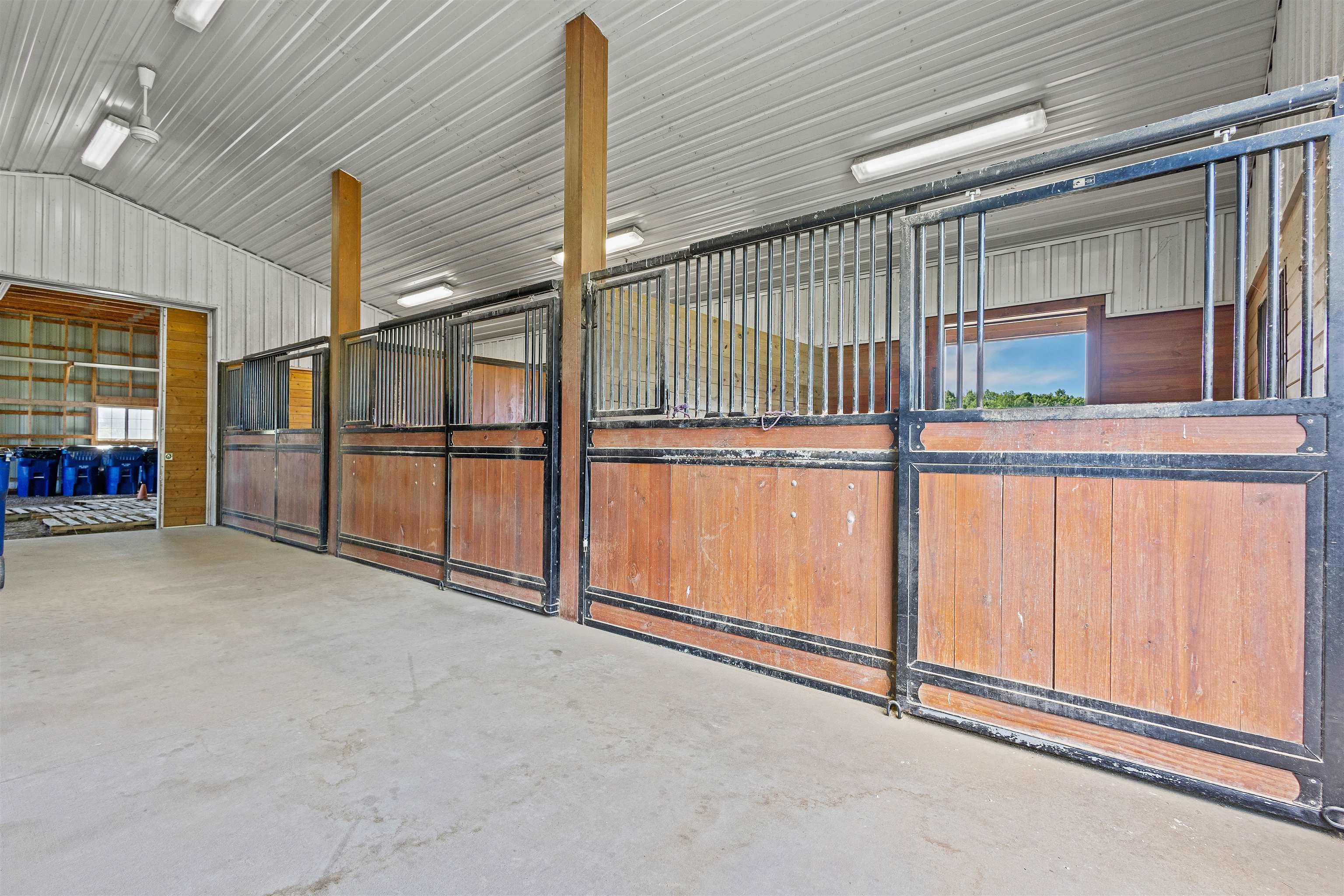 W3493 EQUESTRIAN Trail