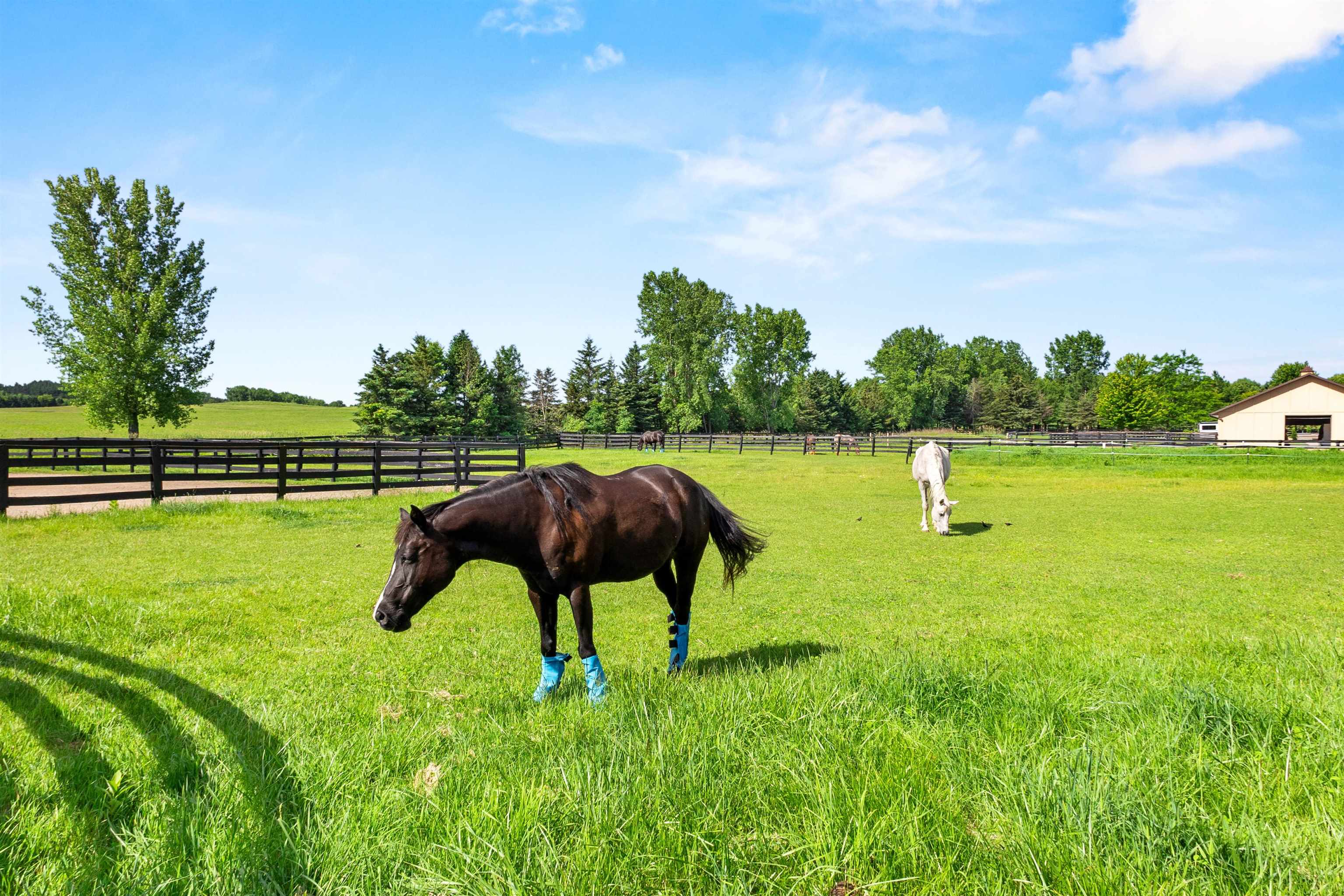 W3493 EQUESTRIAN Trail