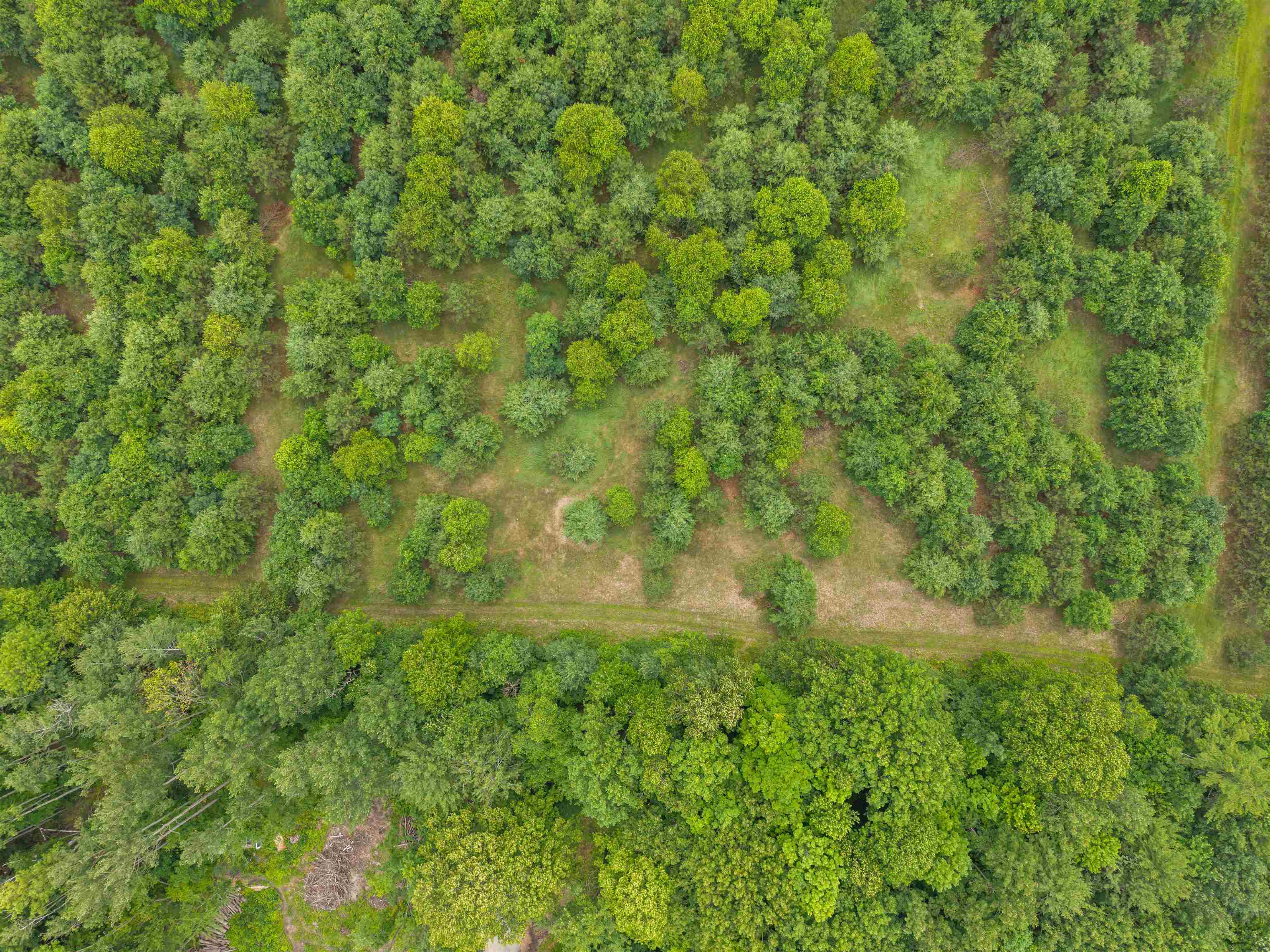 ISLAND LAKE Lane