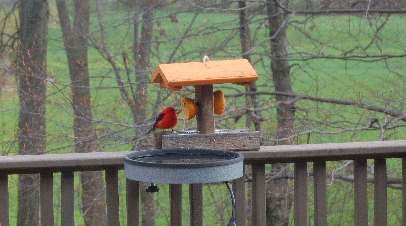 W3895 HIGHVIEW Drive