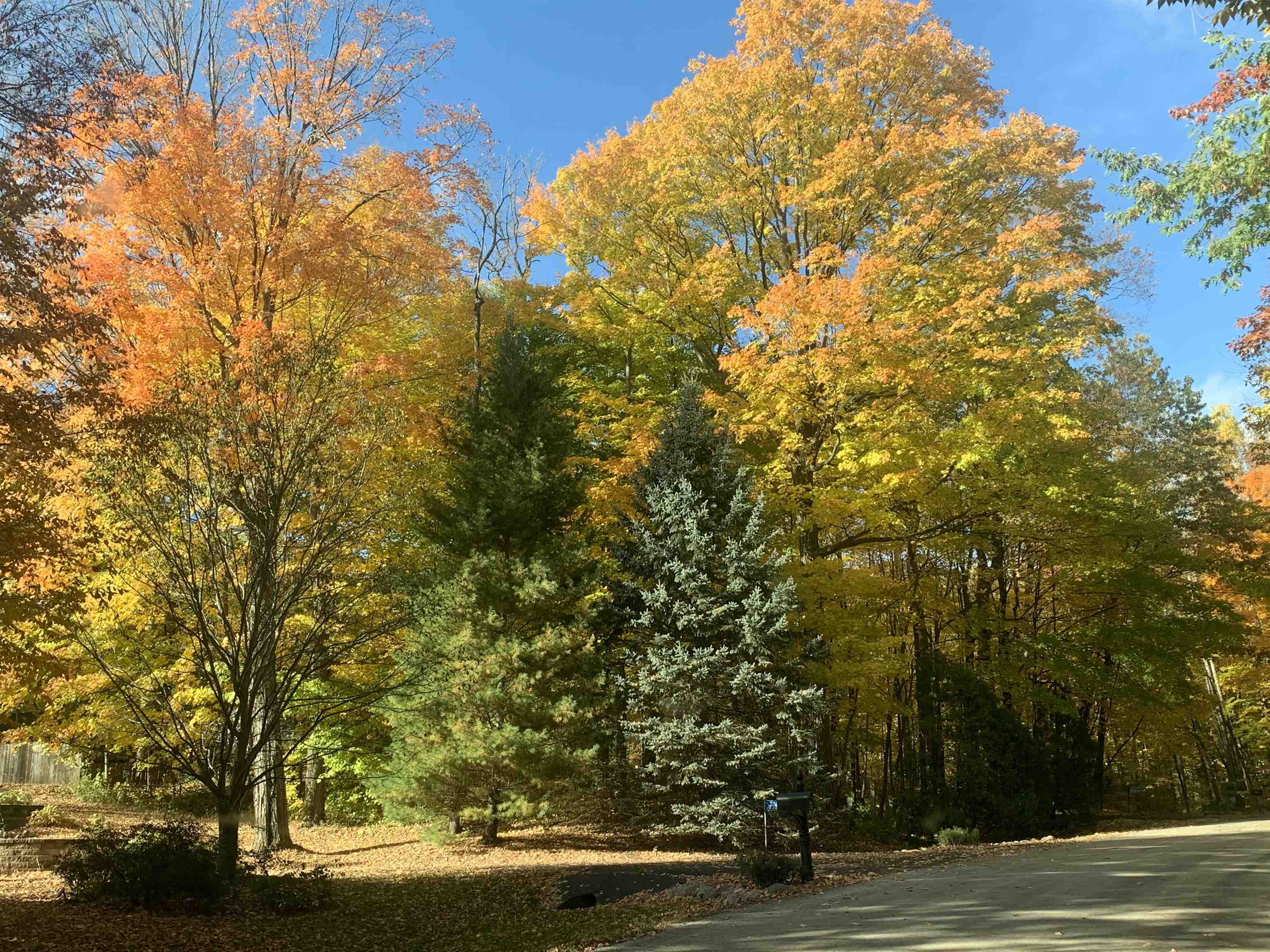 W3895 HIGHVIEW Drive