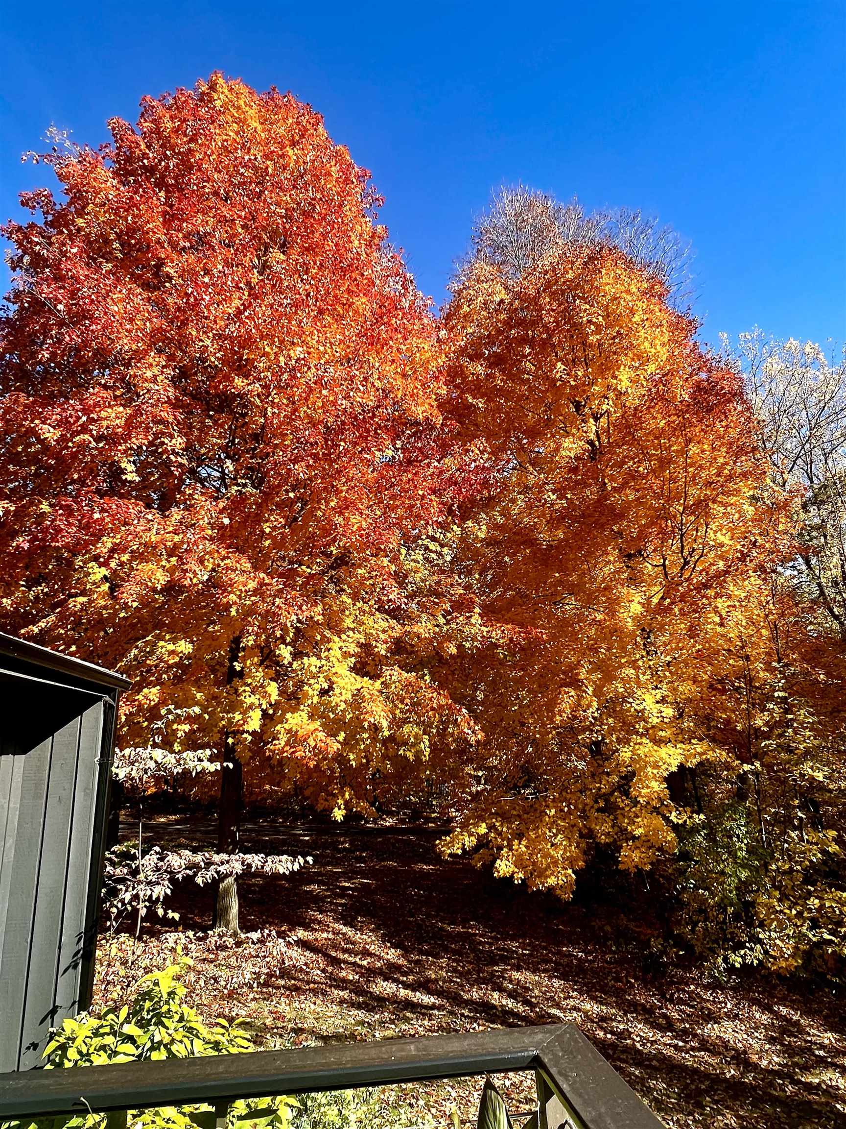 W3895 HIGHVIEW Drive