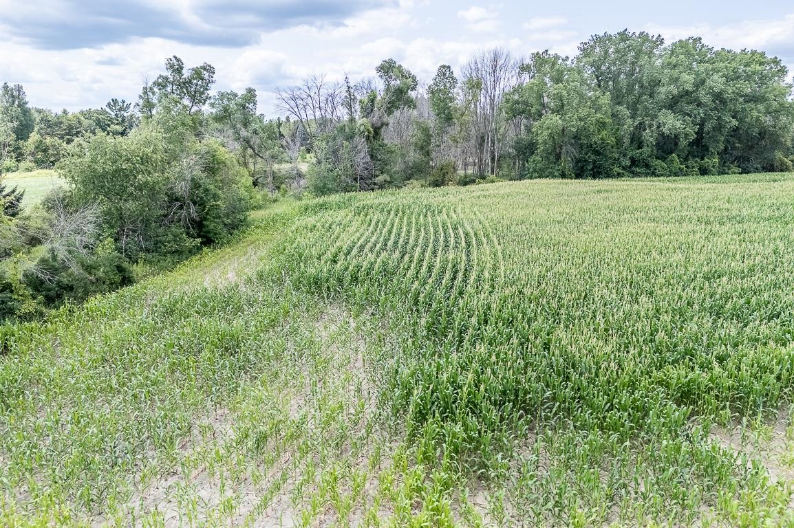 LYONS Road