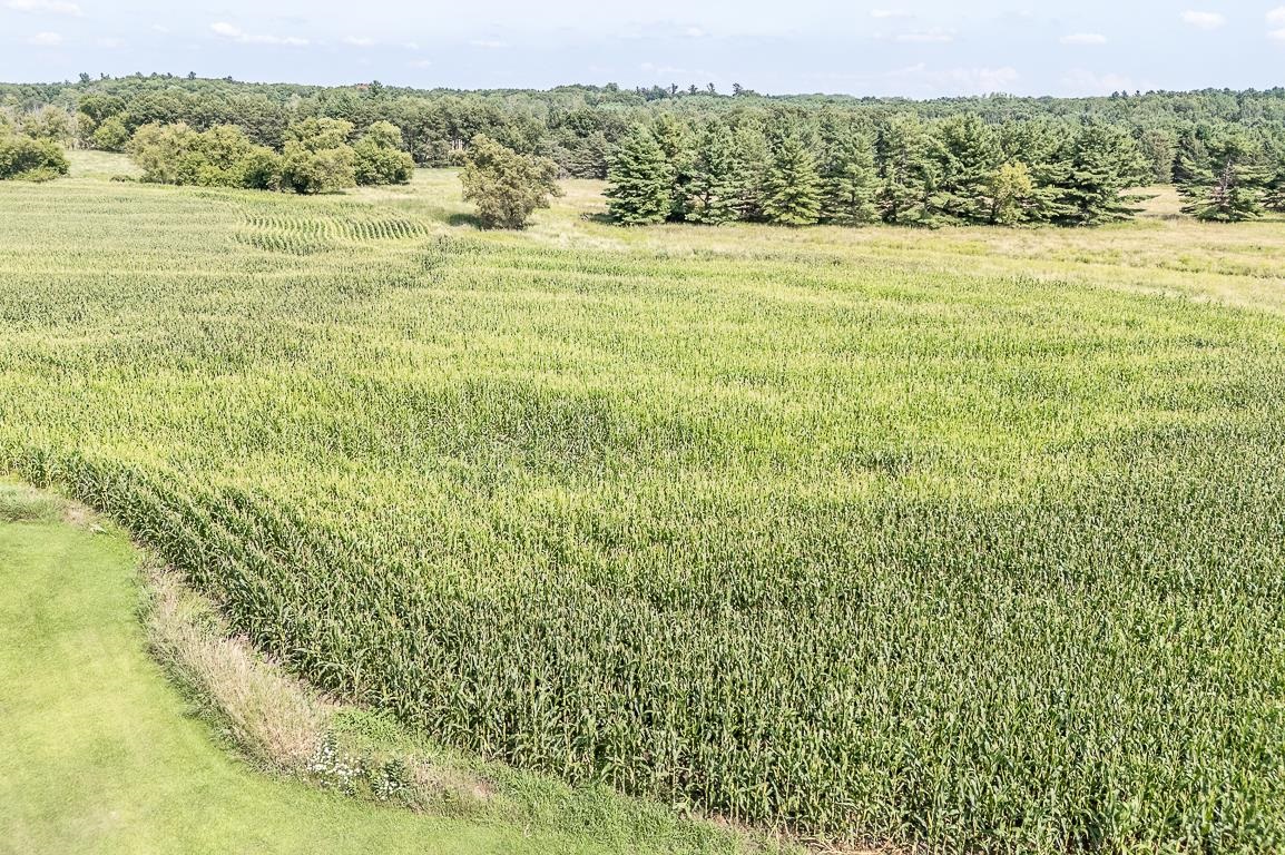 N3212 BEAN CITY Road