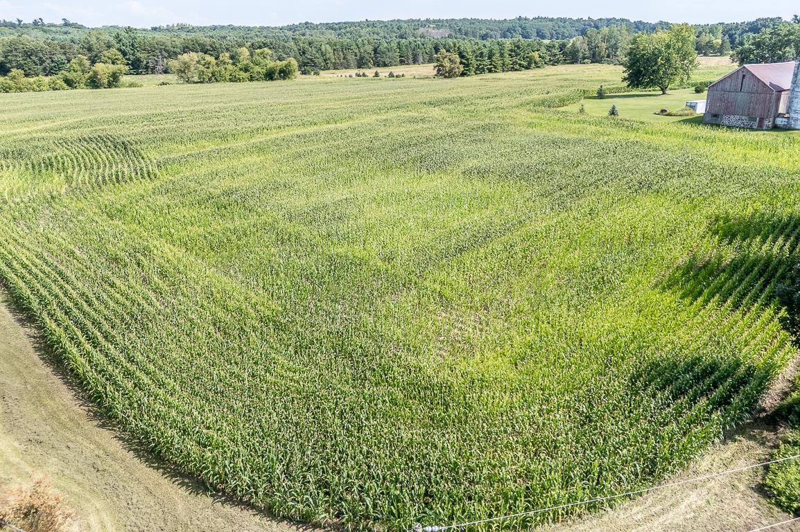 N3212 BEAN CITY Road