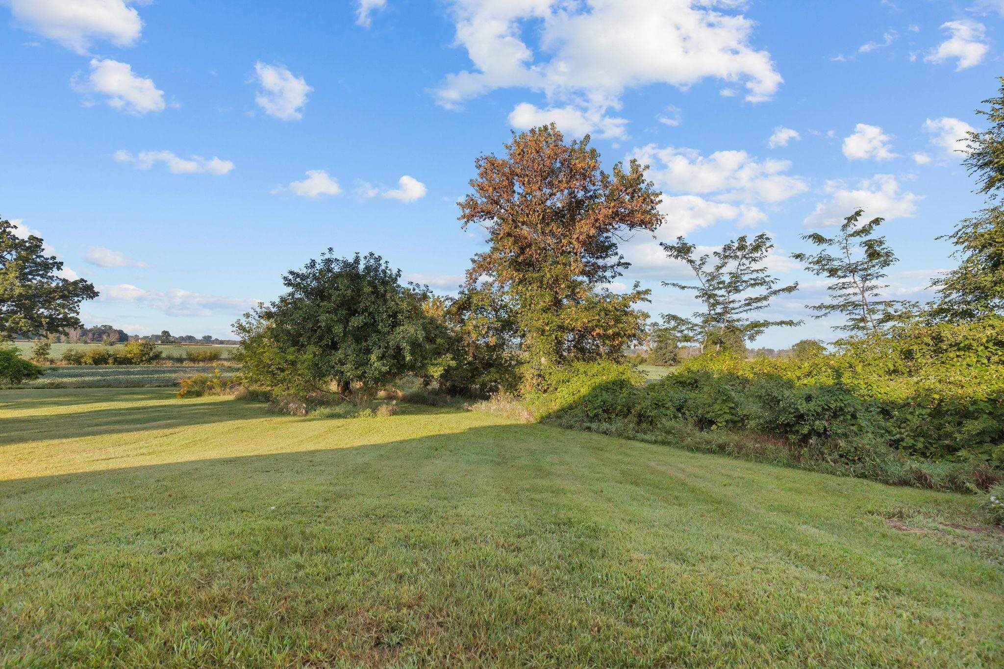 8553 WOLF RIVER Road