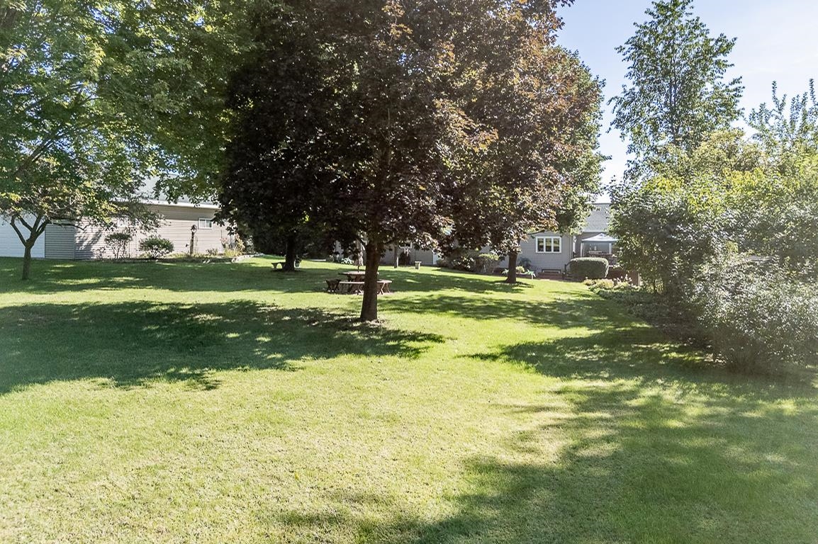 N1145 ROENA Lane
