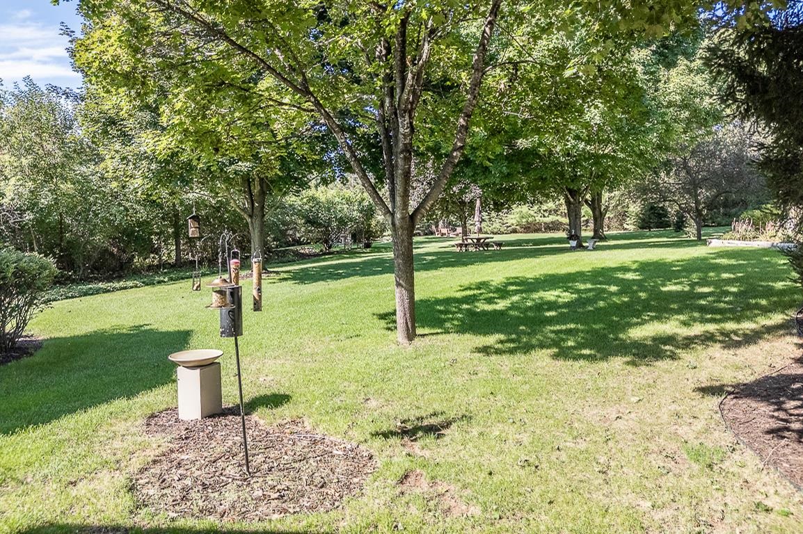 N1145 ROENA Lane