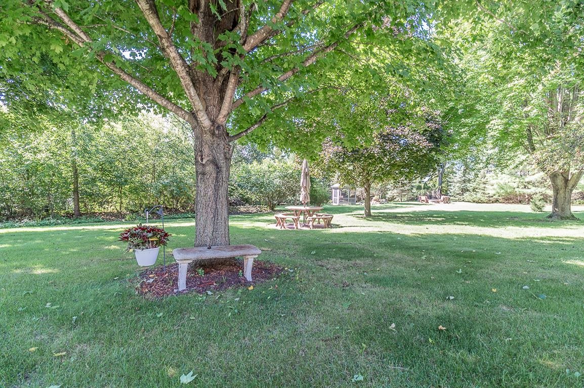 N1145 ROENA Lane