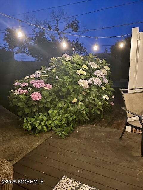 334 Washington Avenue, SUMMER WEEKLY, Avon-by-the-sea Unit: SUMMER WEEKLY