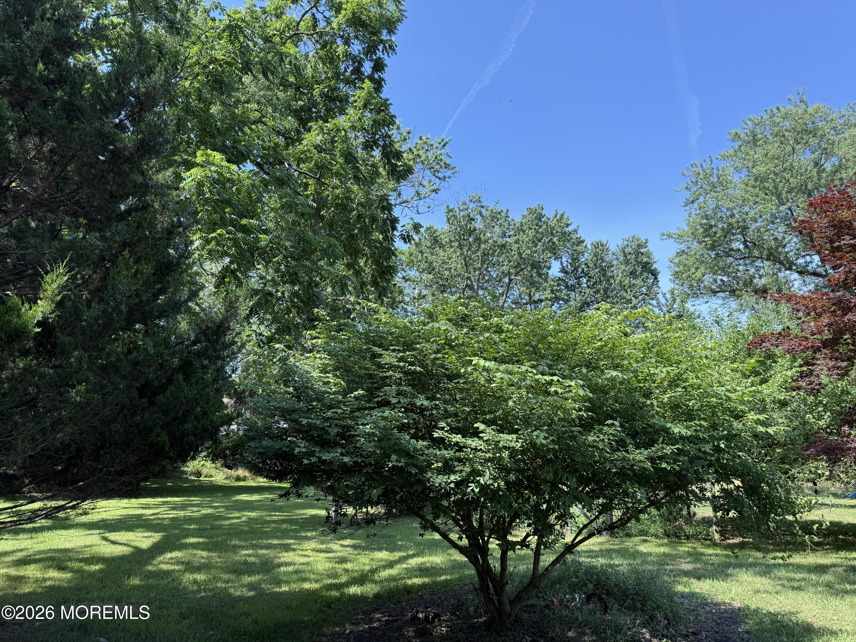 729 Wayside Road