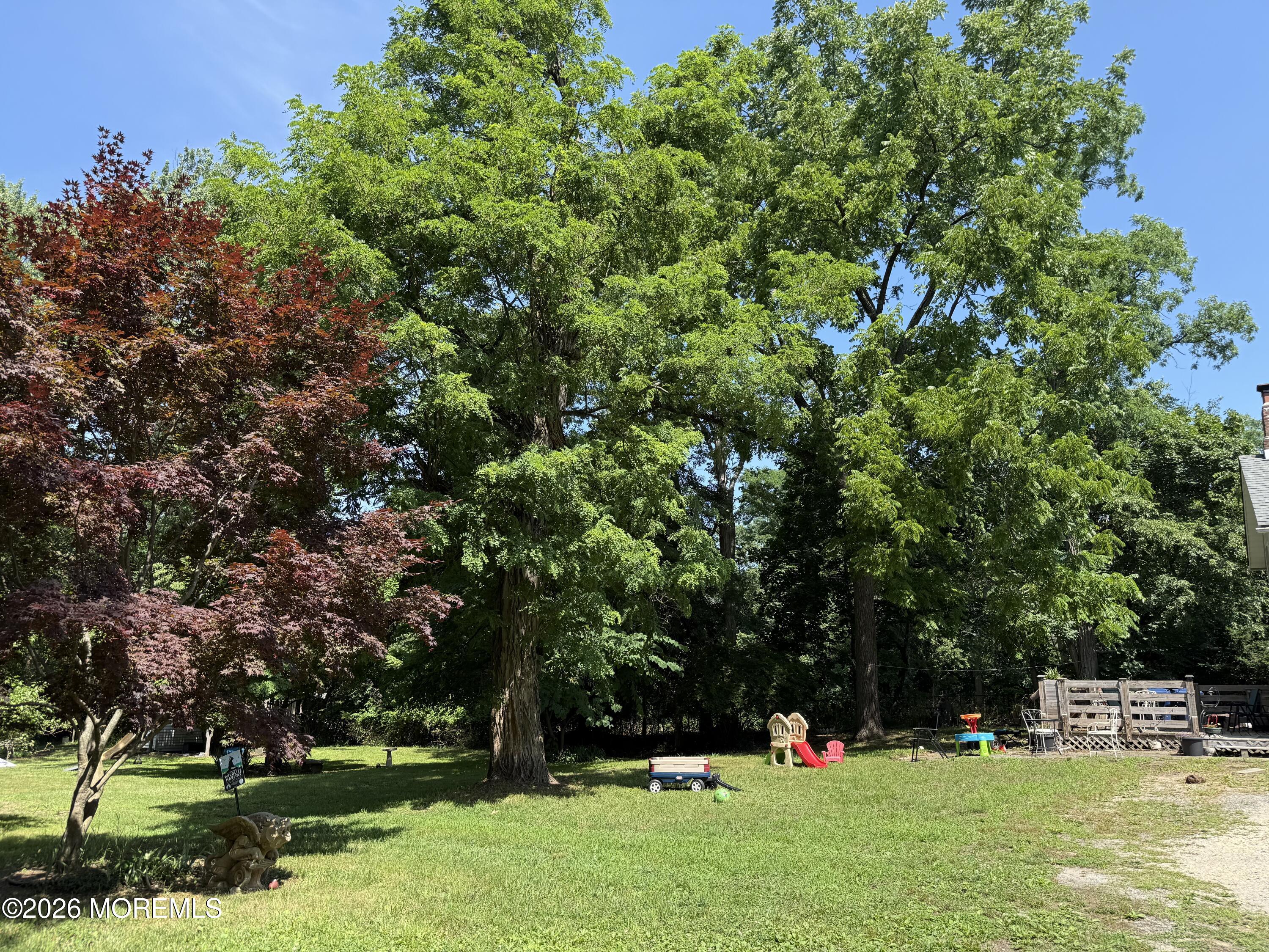 729 Wayside Road