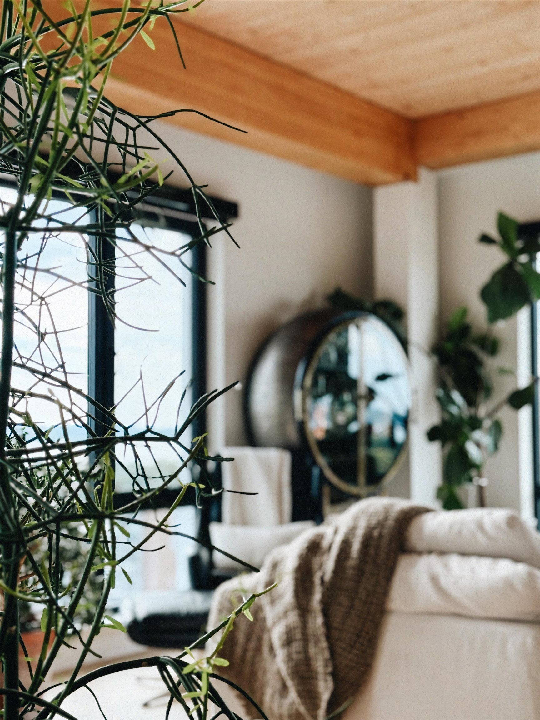 10 S Paterson Street 1301