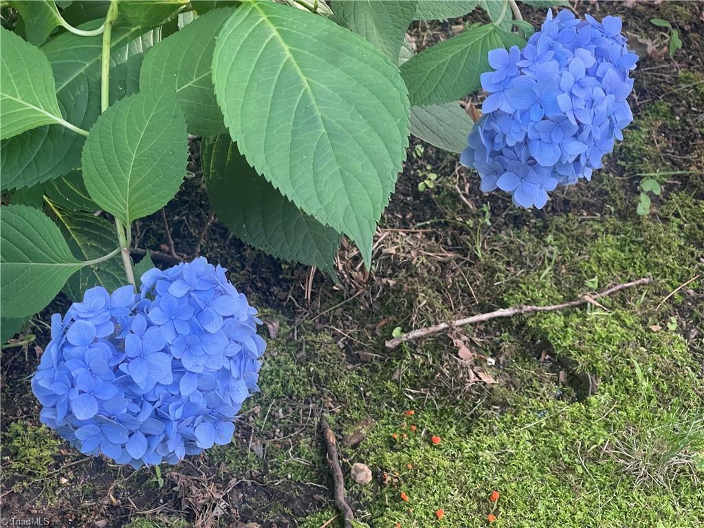 124 Doverstone Court