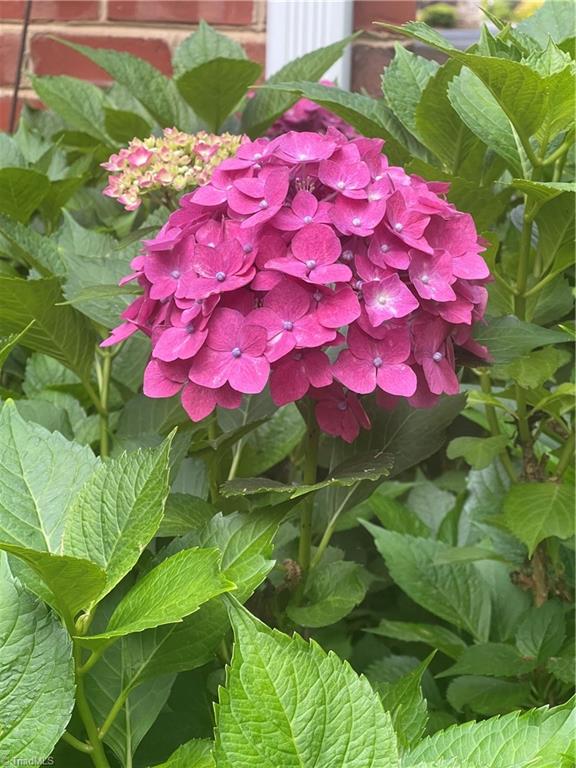 124 Doverstone Court