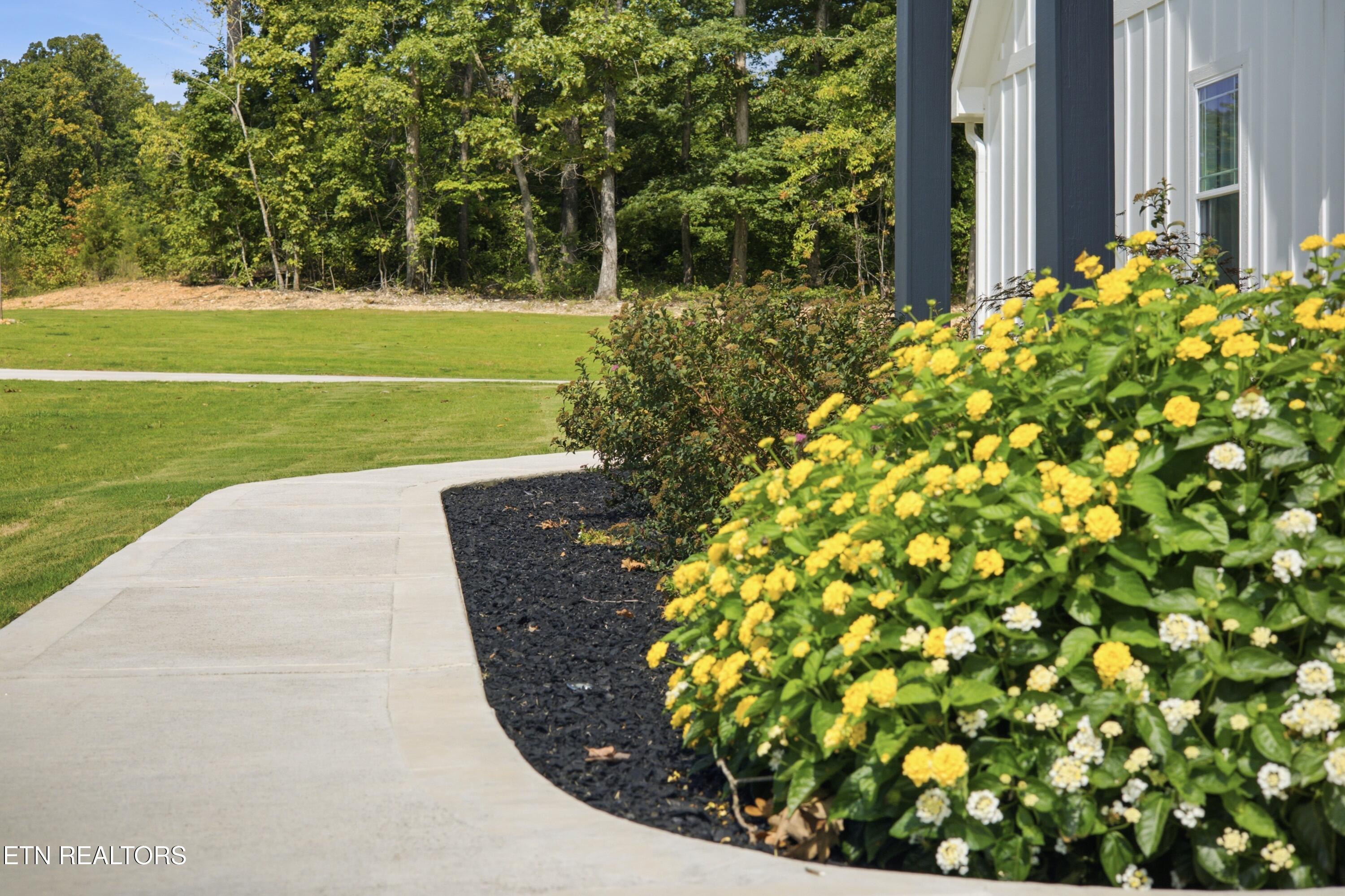 House exterior beside a curved walkway and yellow and white flowering shrubs.