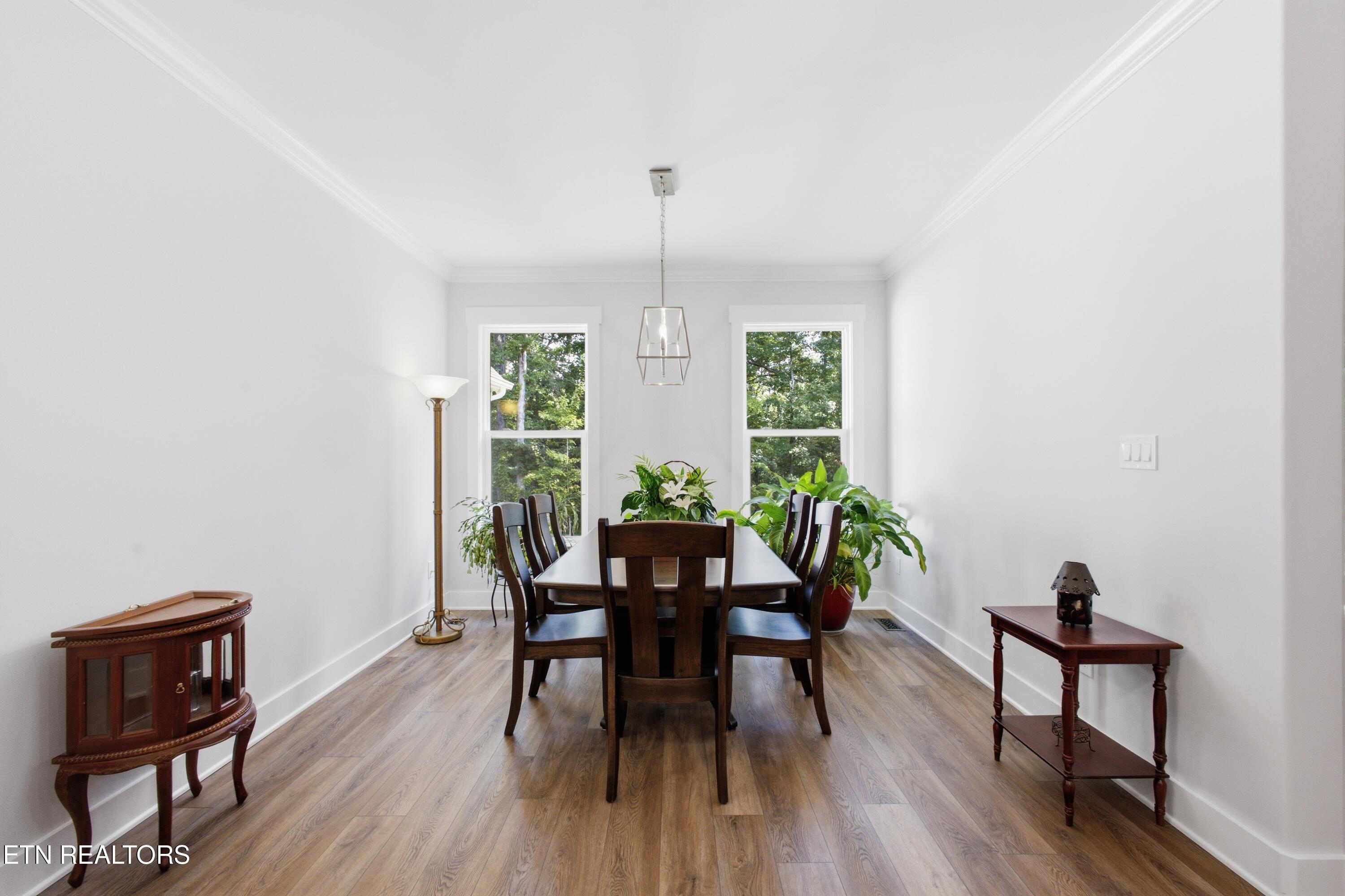 Furnished dining room with a dark wood table, two windows, and leafy plants.