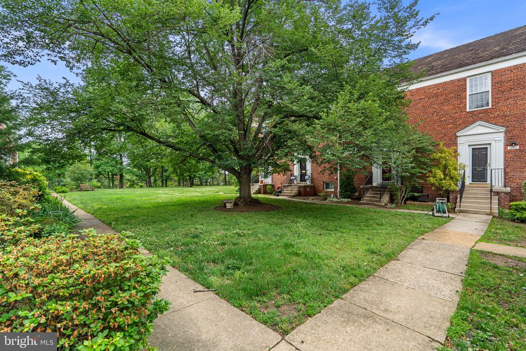 3408 MARTHA CUSTIS DRIVE