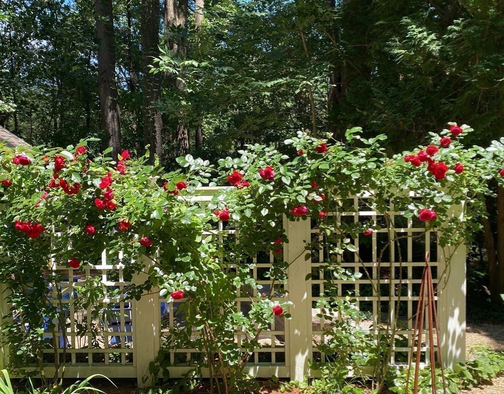 15 Blackburnian Road, Lincoln