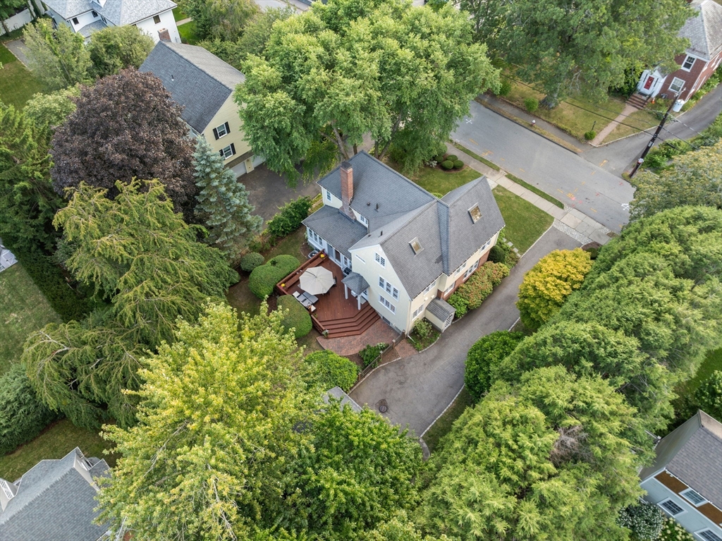 17 Atwood St
