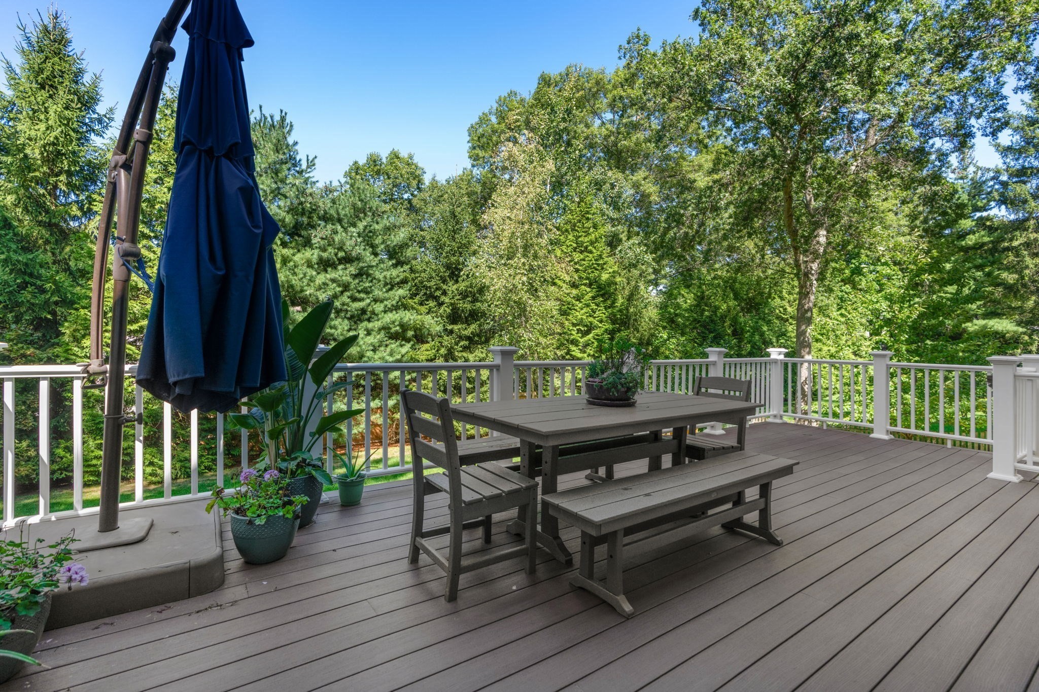 15 Wedgwood Rd