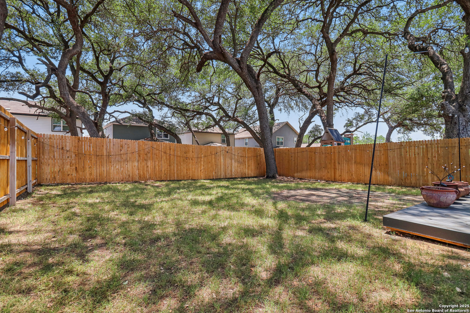 158 Canopy Oak