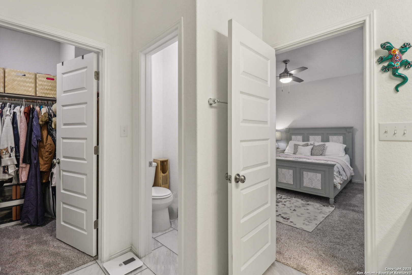 158 Canopy Oak