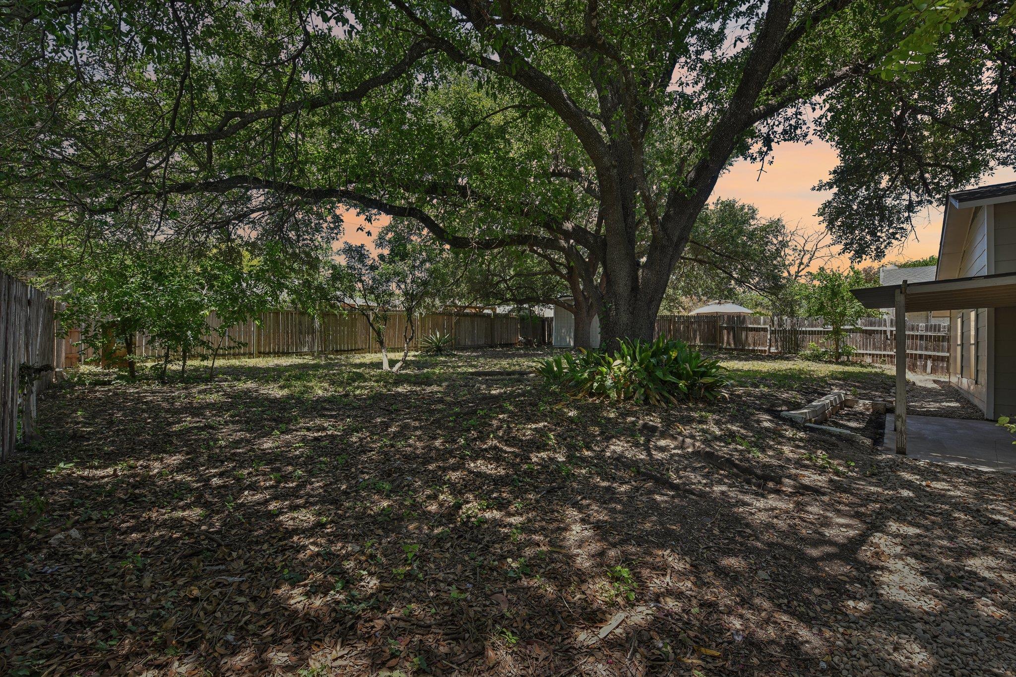 1503 Desert Quail LN