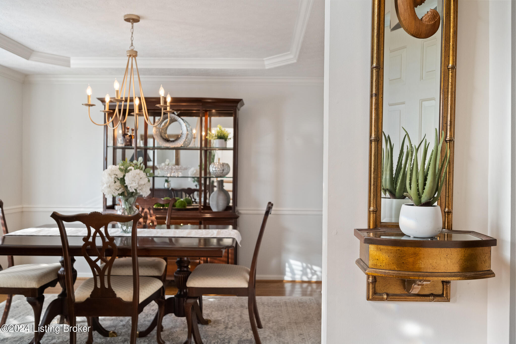 11201 Carriage View Way