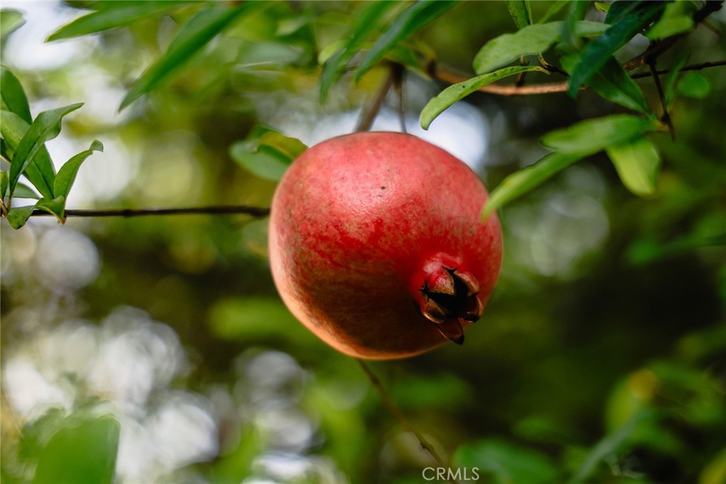 151 E LONGDEN Avenue E