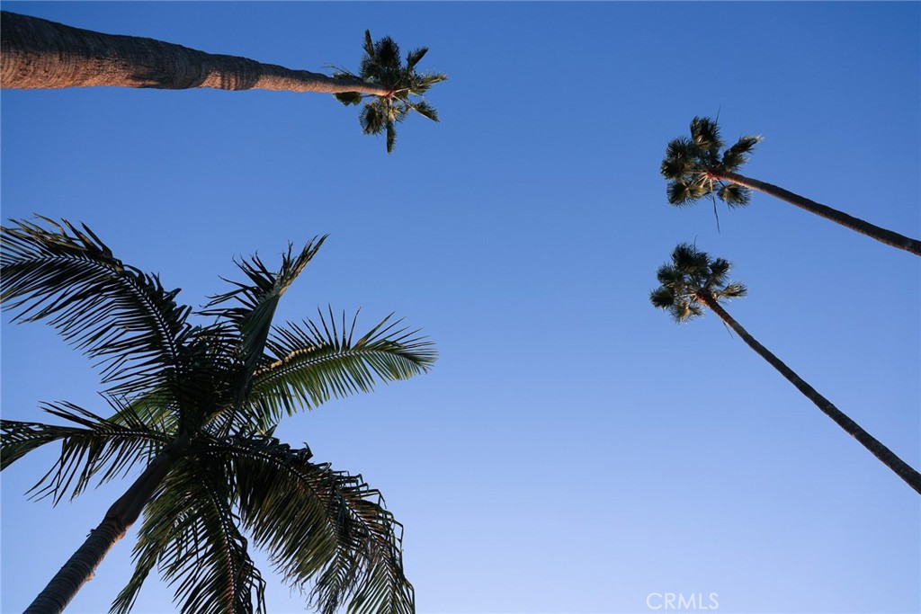 151 E LONGDEN Avenue E