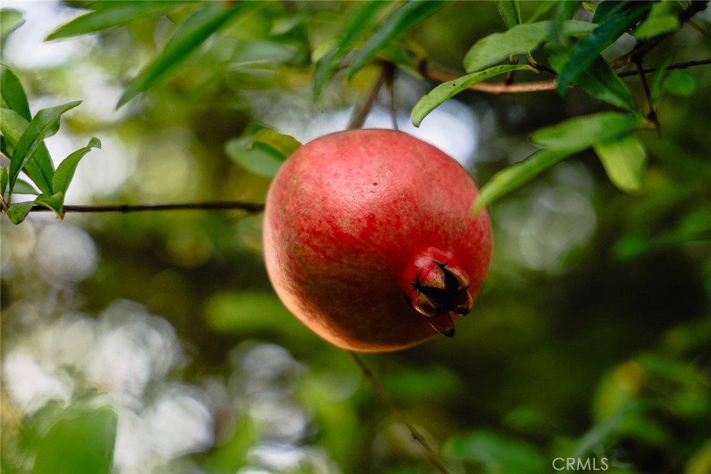 151 E LONGDEN Avenue E