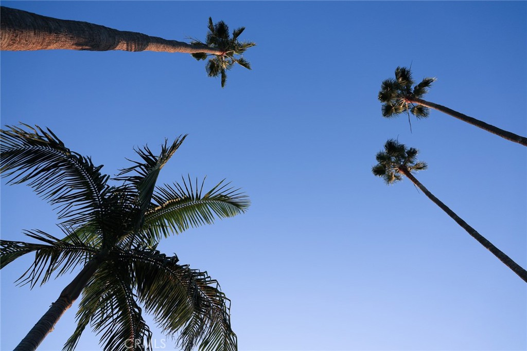 151 E LONGDEN Avenue E