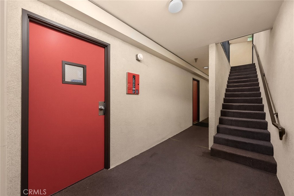 2104 MOZART Street