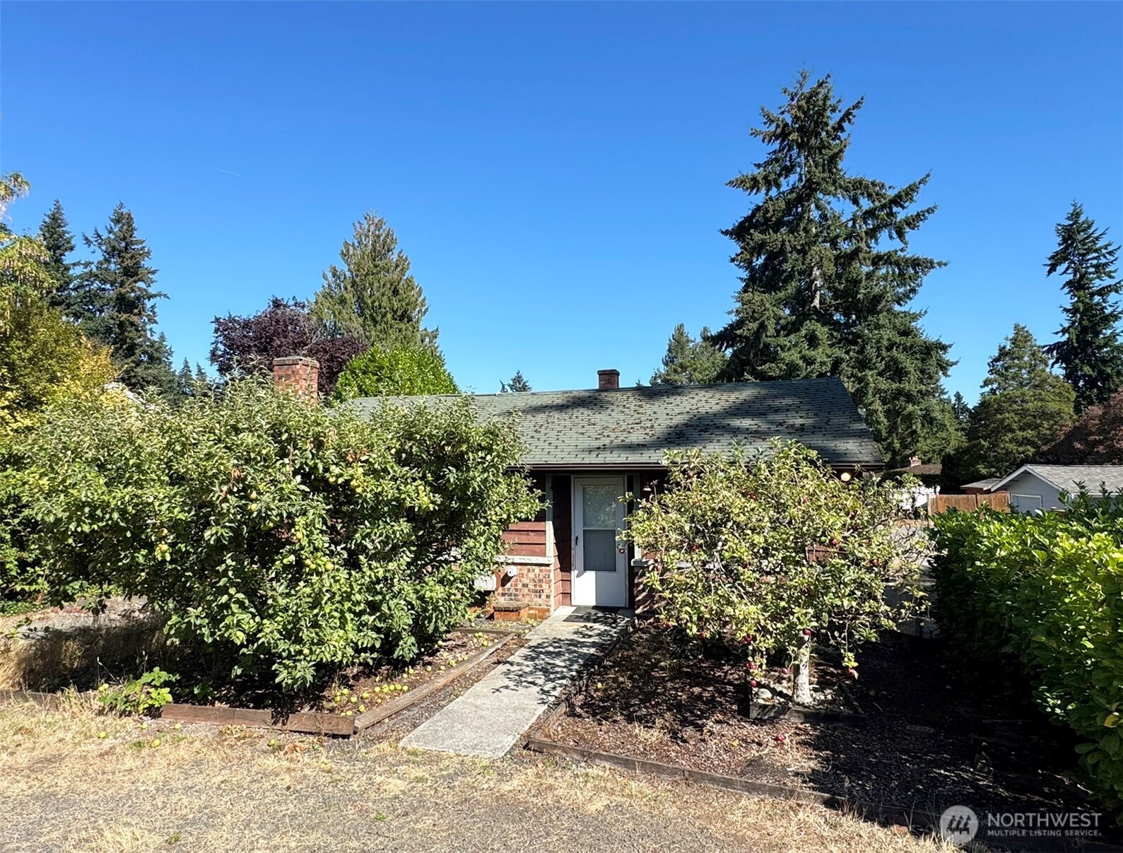 Single-story home with a brick entry, leafy shrubs, and a concrete walkway to the front door.