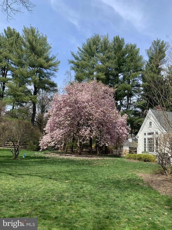 518 NEWTOWN ROAD