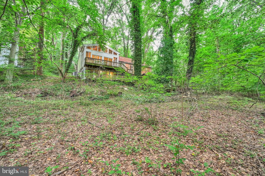 9 WOODED LANE