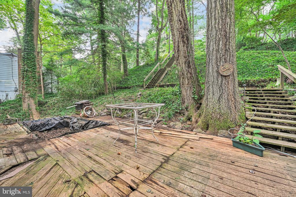9 WOODED LANE