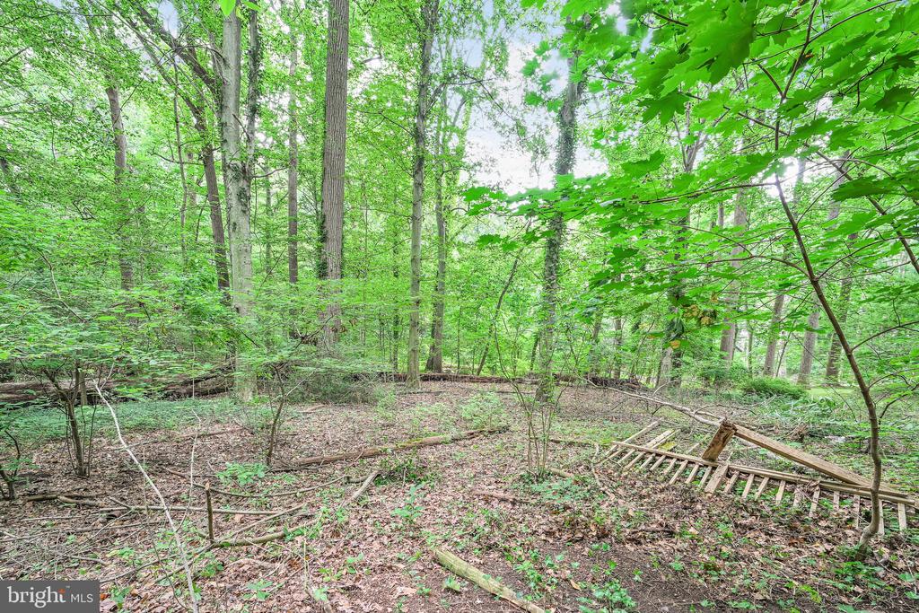 9 WOODED LANE