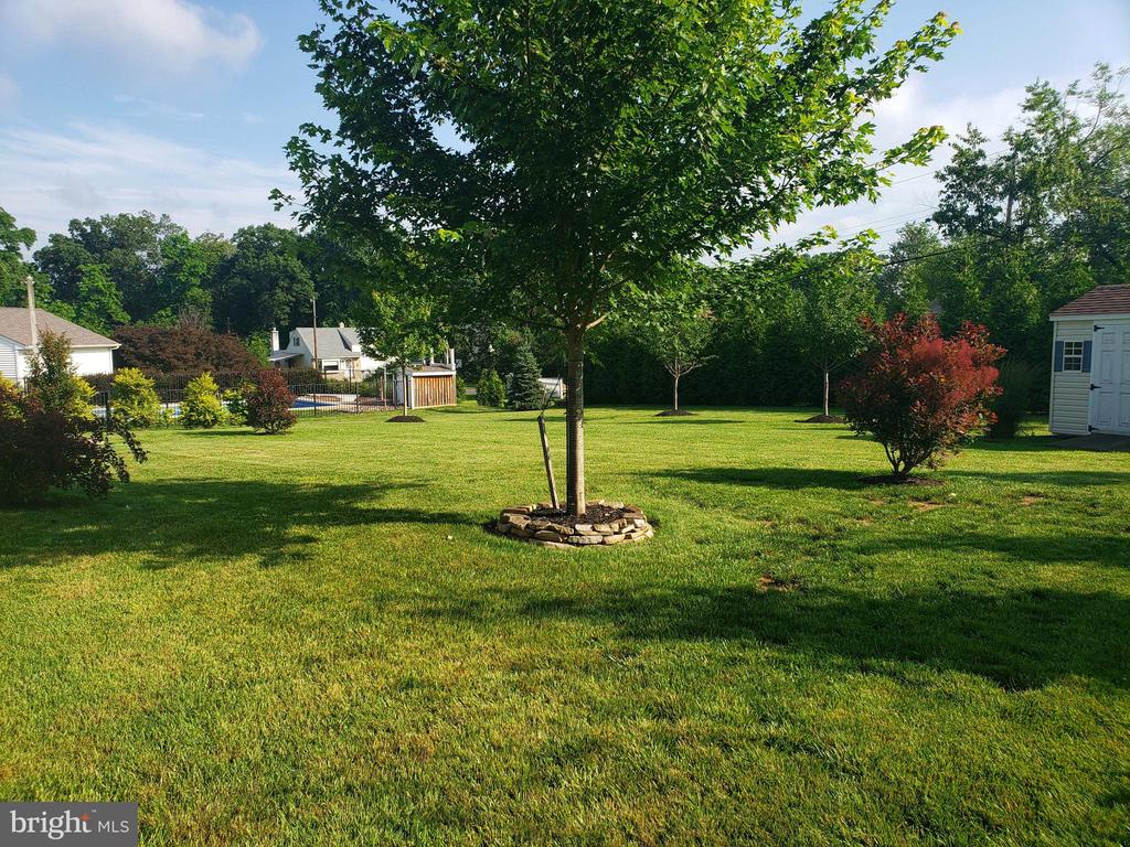 1131 WALNUT LANE