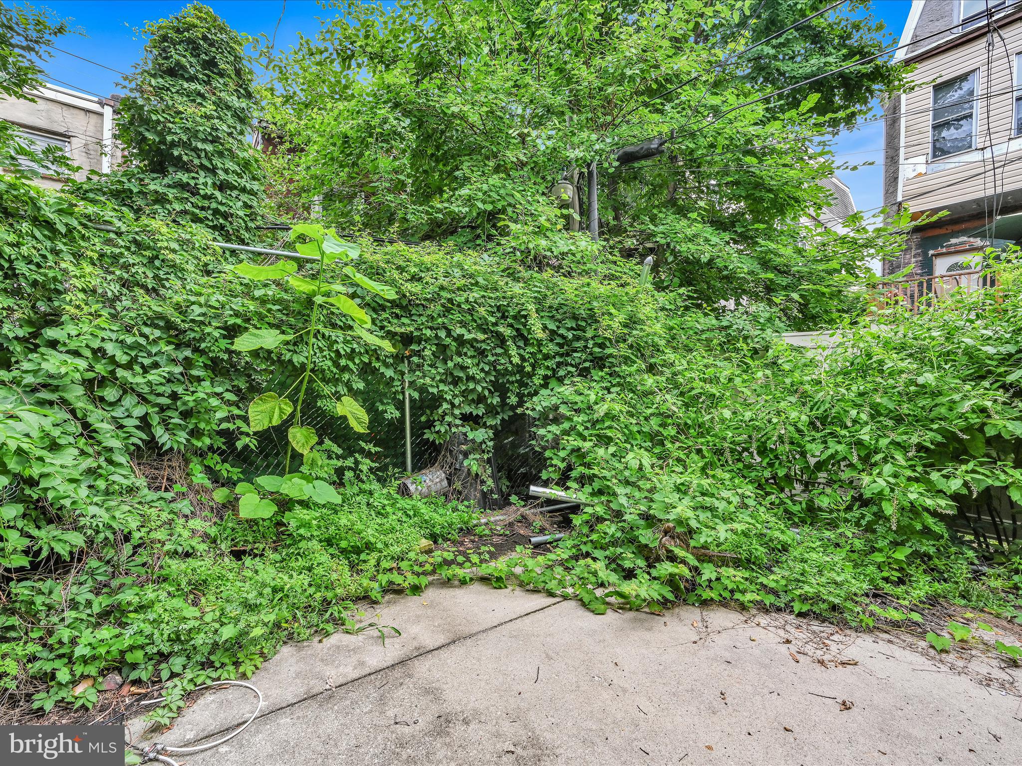 262 W Apsley St