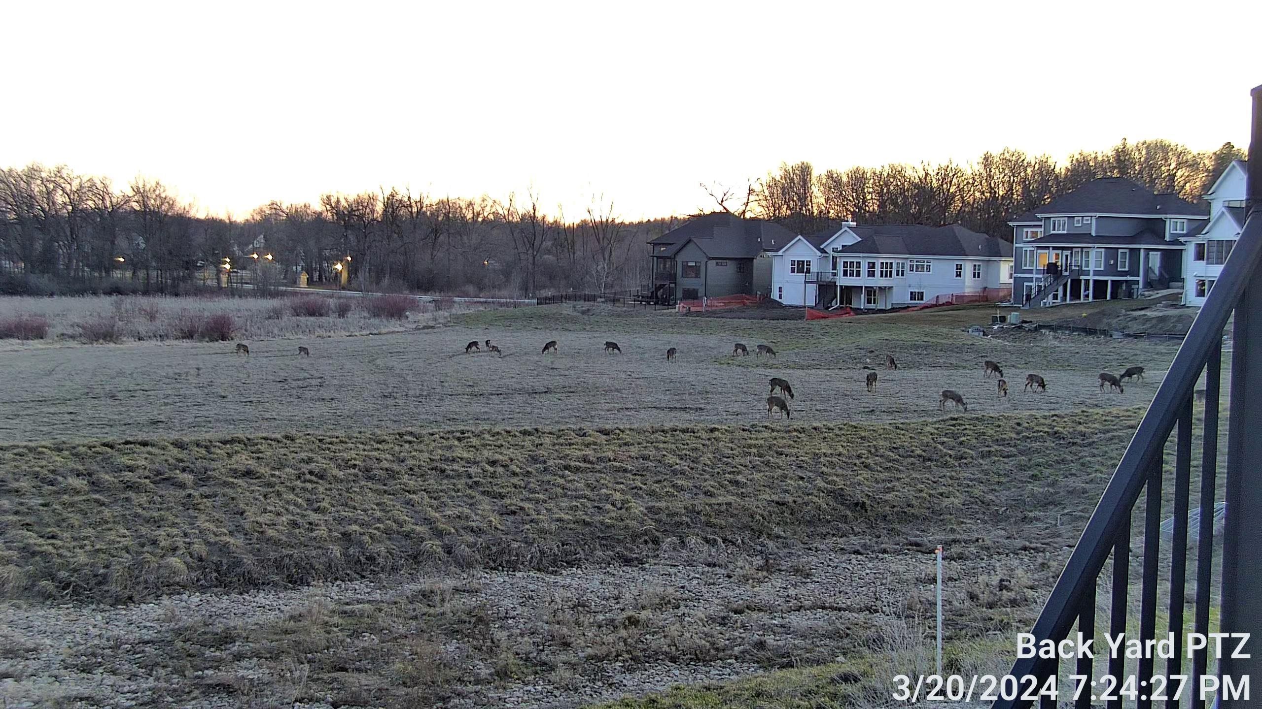 1140 Reese Trail