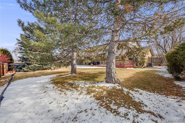 Home behind mature pine trees in a snow-dusted yard, with a wooden deck and fenced area.
