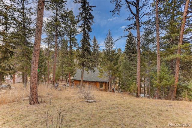 24844 N Turkey Creek Road