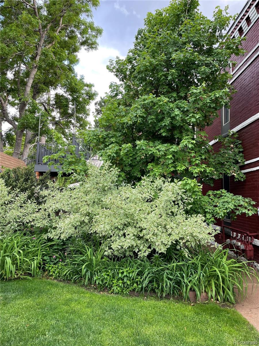 124 E Colorado Avenue Unit: 2