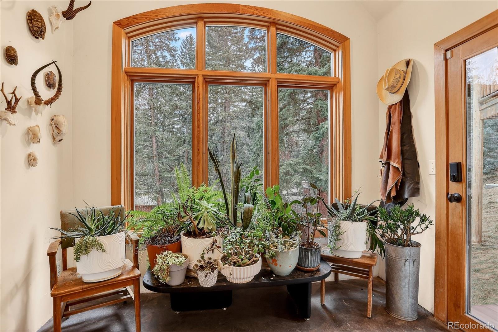 24844 N Turkey Creek Road