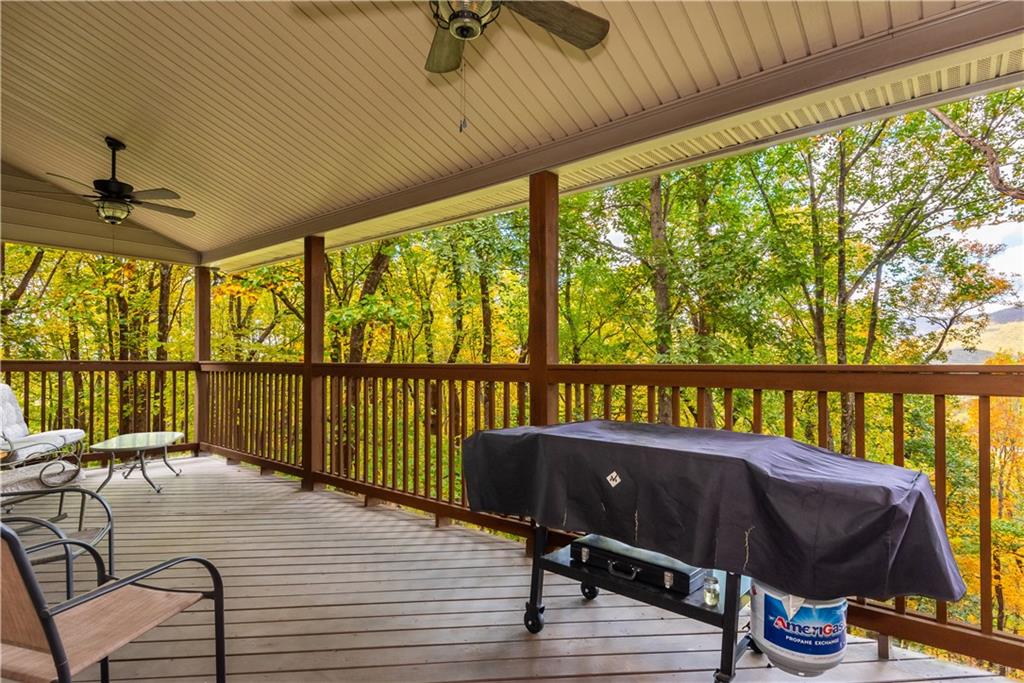 110 Mole Mountain Court