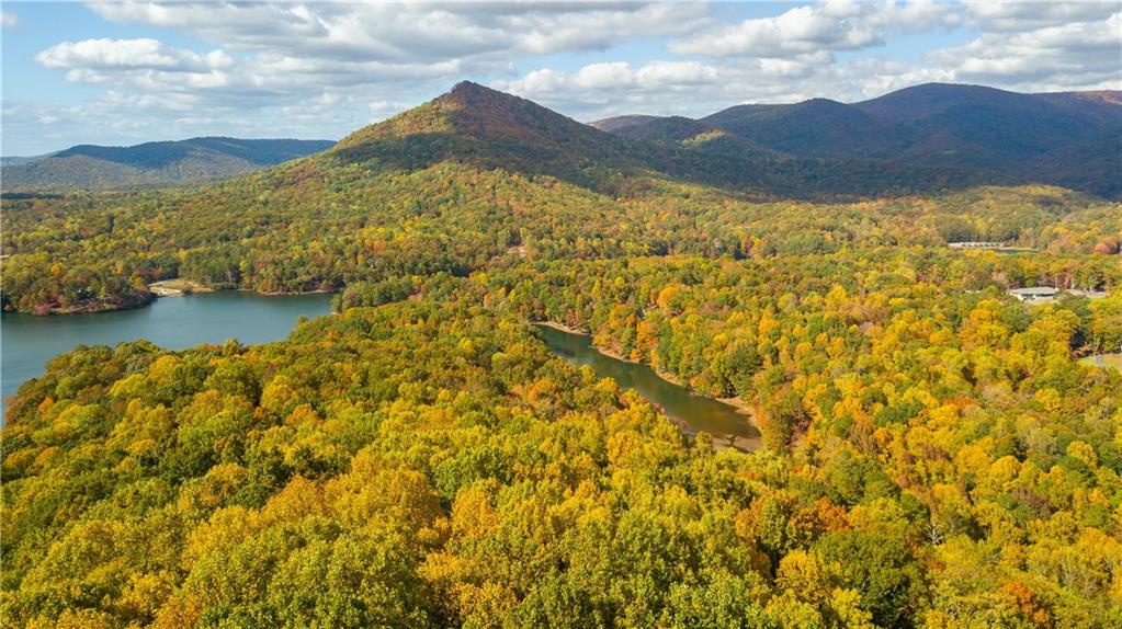 110 Mole Mountain Court