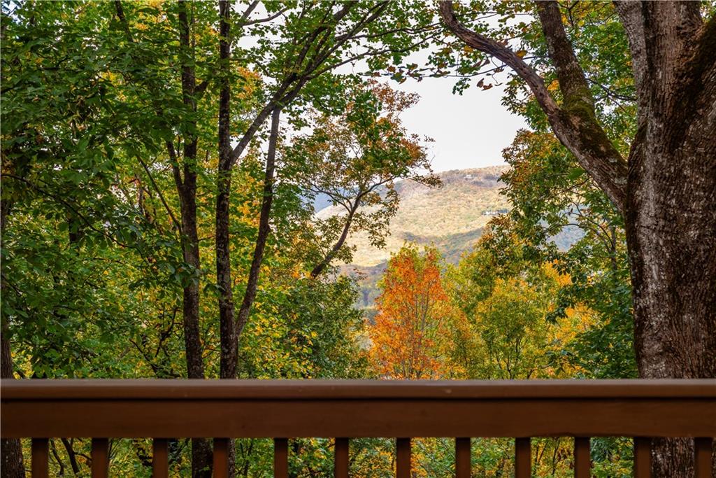 110 Mole Mountain Court