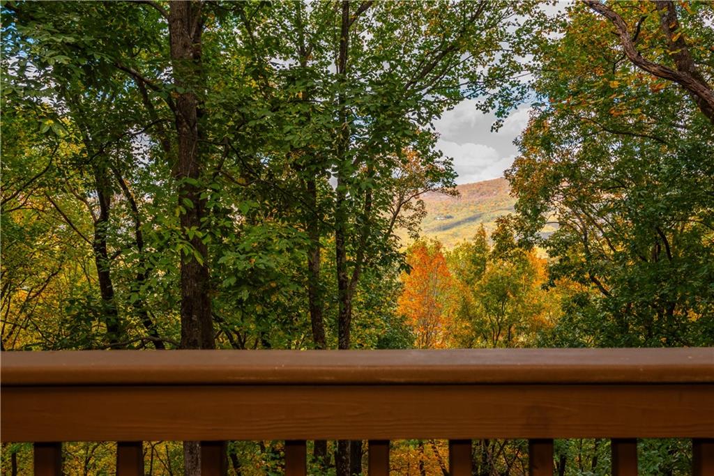 110 Mole Mountain Court